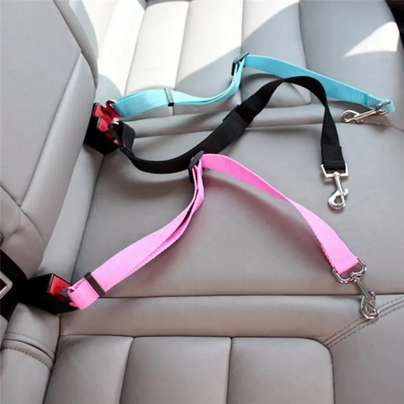 Ceinture de sécurité pour chien Woofiz