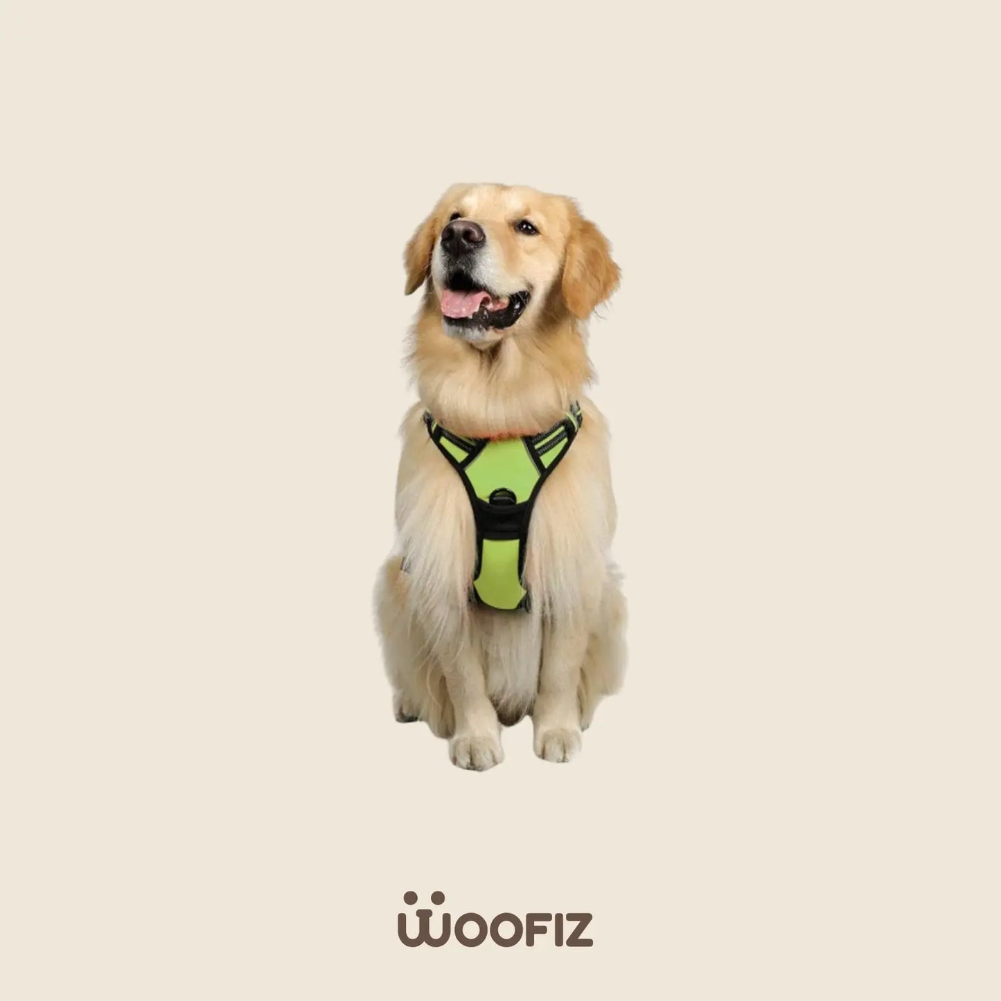 Harnais pour chien Woofiz